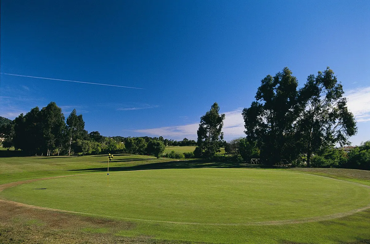 A green at Pestana Beloura Golf framed by tall trees