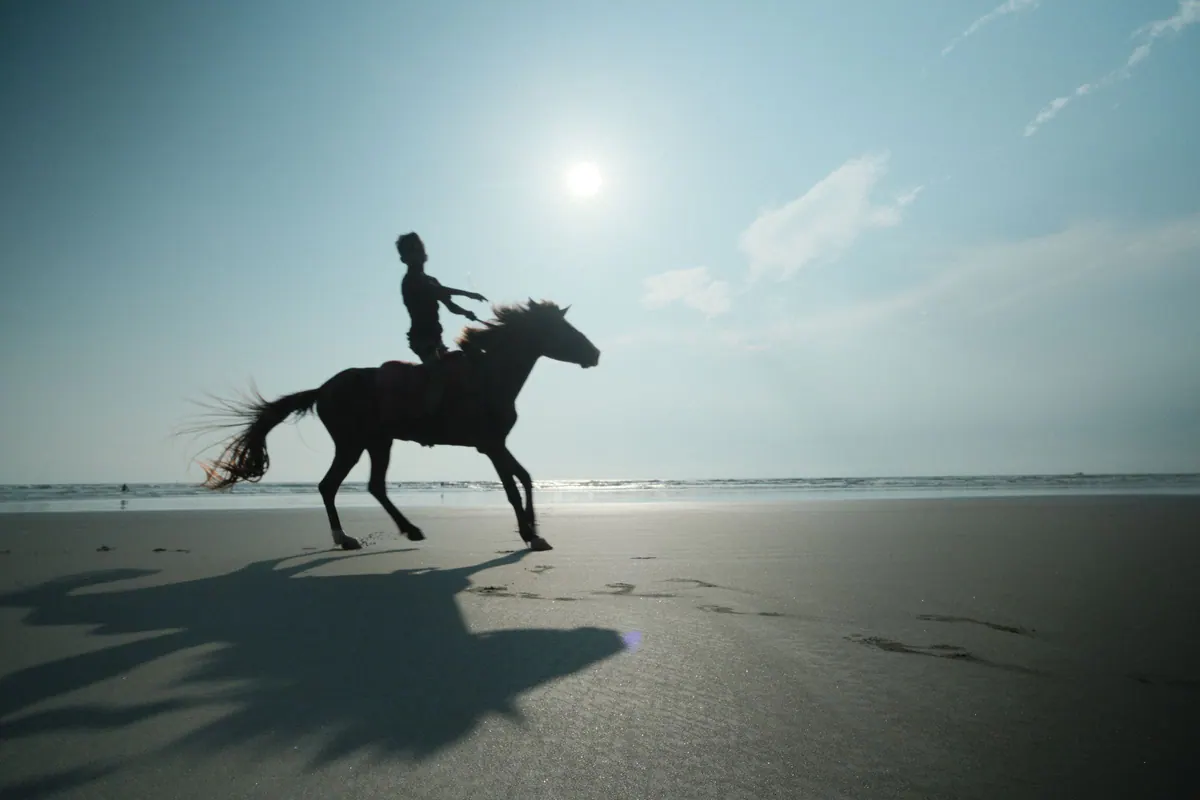 Silhouette of a horse and rider cantering along the shore against the sun