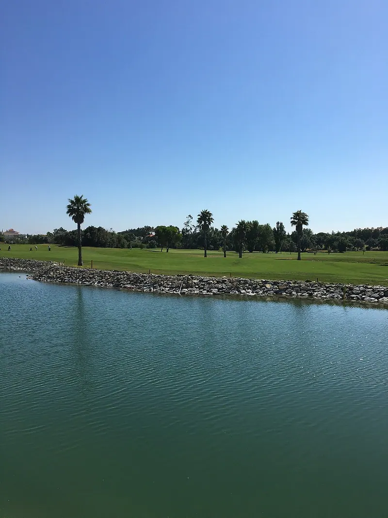 A lake on the Beloura golf course with palm trees along the shore
